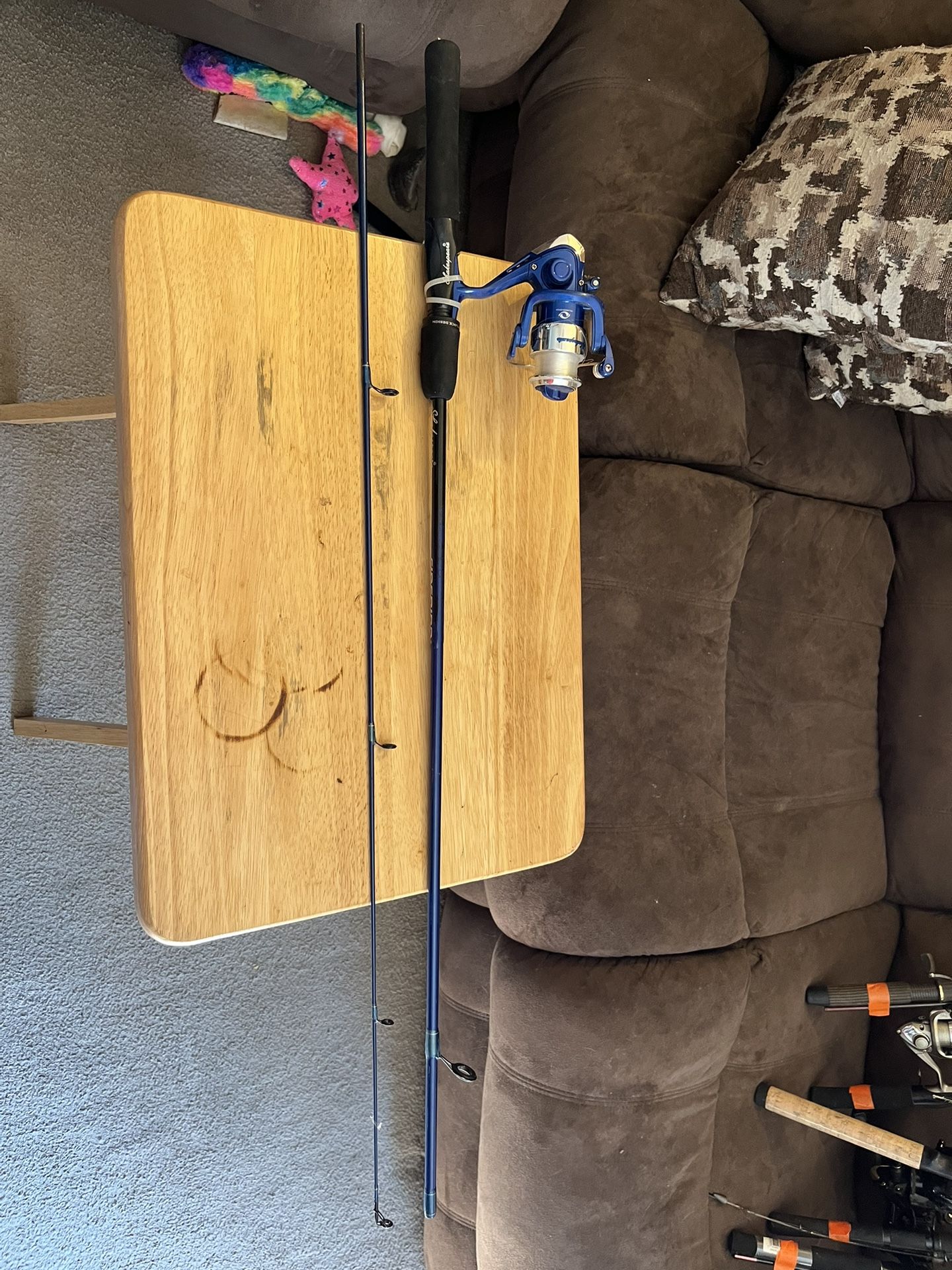 5’6 Shakespeare Firebird spinning Combo