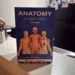 Anatomy Flash Cards (300pack)