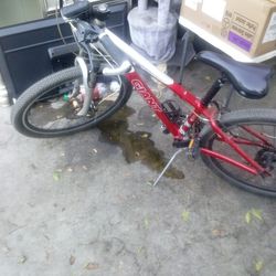 Giant Mountain Bike 
