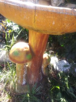 Buiteful mushroom bird bath