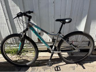 Women’s Schwinn Standpoint Bike