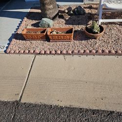 Three Terracotta Plant Holders