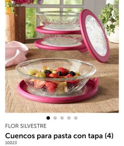 Set de 4 platos wildflower con tapaderas de princess house Nuevos en caja
