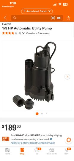 Everbilt 1/3 HP Automatic Utility Pump