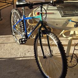 Nishiki Blazer Mens Mountain Bike 