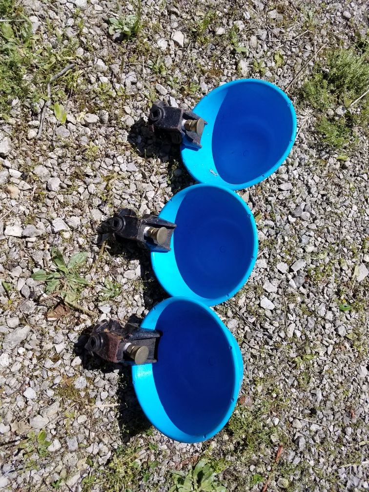 Horse stall self watering bowls