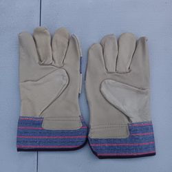 Gloves