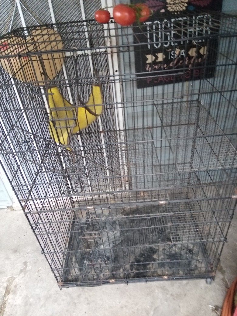 Pet Cage
