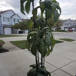 Big Artificial Plant