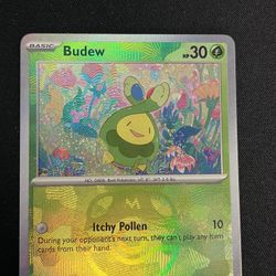 Budew Masterball Patter Pokemon 