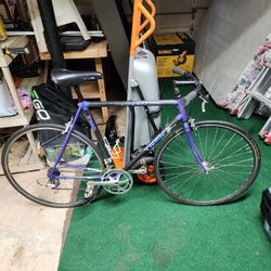 Trek 2300 Size 56