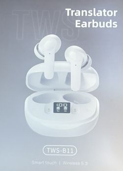 AI Translation Earbuds 