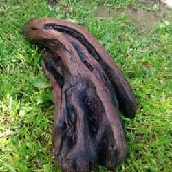 Driftwood For Aquariums Terrariums Decor 