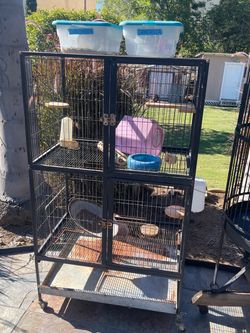 Bird & reptile , chinchilla gages