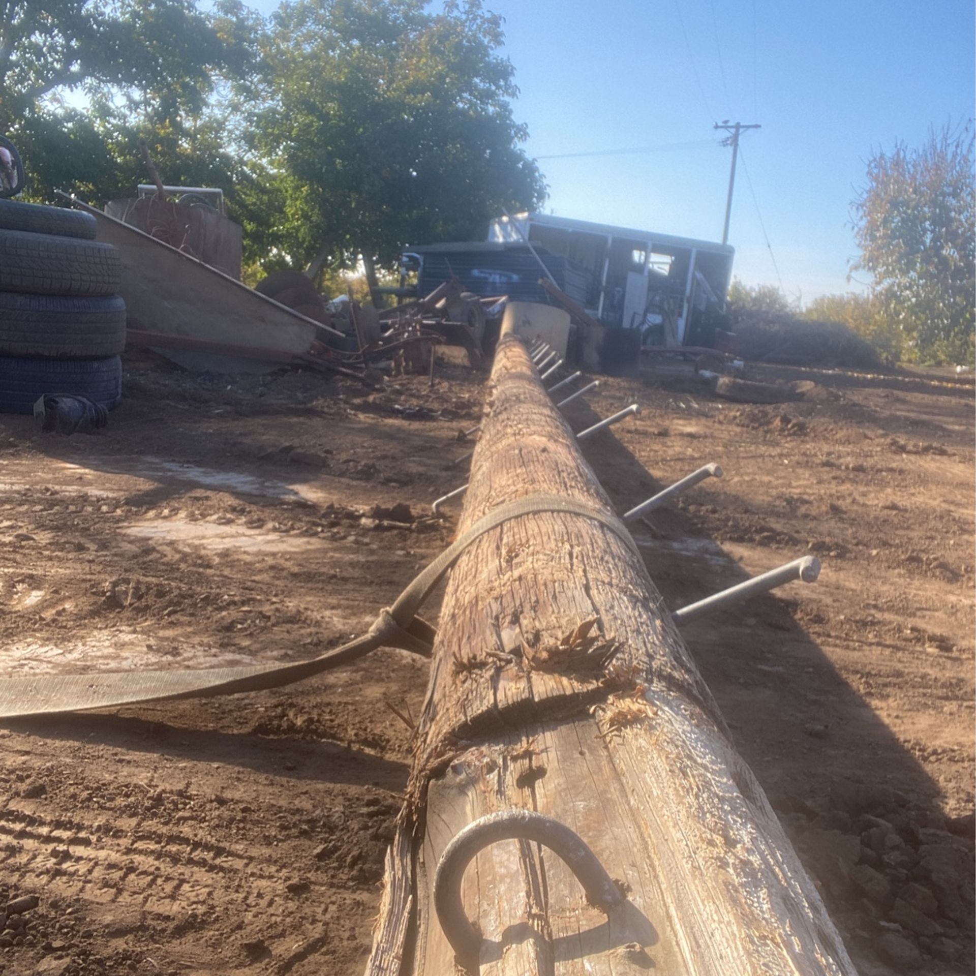 Telephone poles