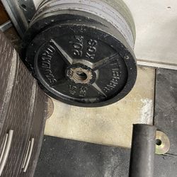 45 lb Weight Plates