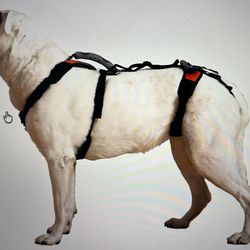 Help’Em Up Lift Harness for Aged and Injured Pets, Adjustable, Fits 10-25 Lbs (New In box) $75
