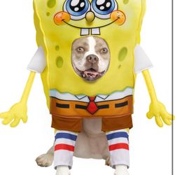 Spongebob Dog Costume 