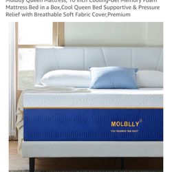 Queen Bed And Mattress  Or Just One If Wanted 