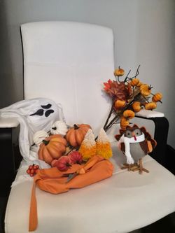 Fall pumkpin decoration target chicken
