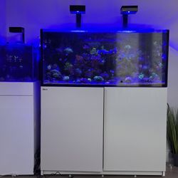 Red Sea Reefer 350 G2. 