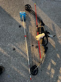 Ams bowfishing