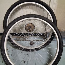 Bicycle Wheels