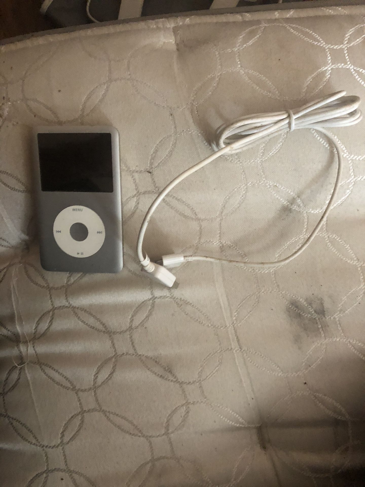 iPod 120GB with charger
