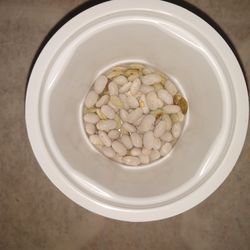 Pole Bean Seed(s)
