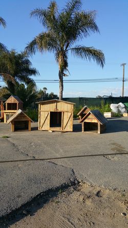 Large dog houses