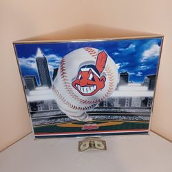 Vintage Cleveland Indians Jacobs Field picture from the 90s