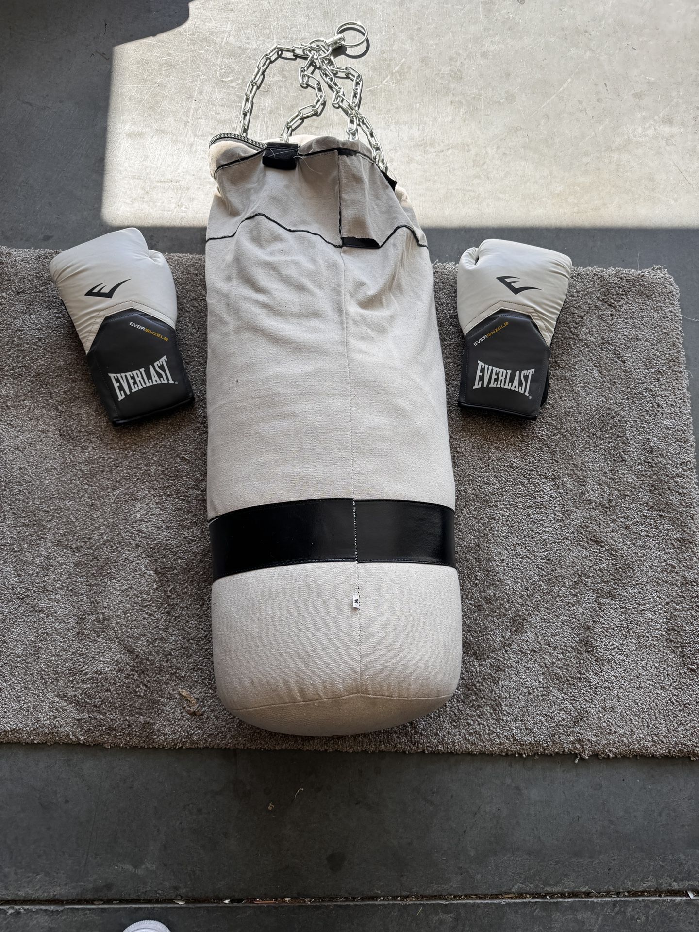 Punching Bag & Everlast Boxing Gloves
