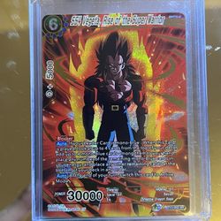 Ss4 Vegeta Rise Of The Super Warrior 