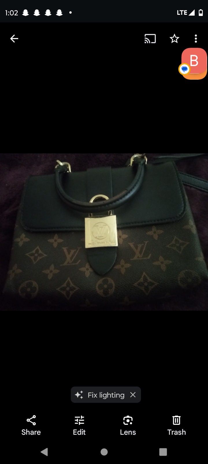 Louis Vuitton Locky Purse
