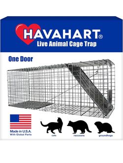 Animal trap