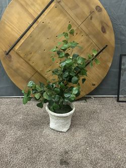 Faux Floor Plant