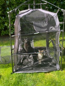 Outdoor cat tunnels