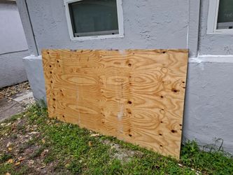 Plywood 91x48in FREE