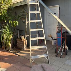 Ladder 