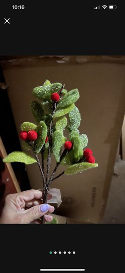 Christmas Decorations 