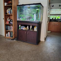 50 Gallon Fish Tank And All Accessories 