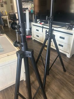 Proline speaker stands (including the bag as well)
