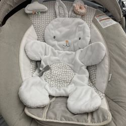 Ingenuity Baby Bouncer 