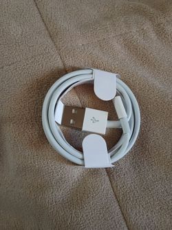 iPhone Charger