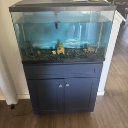 Fish Tank