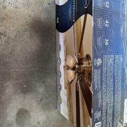Ceiling Fan