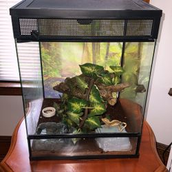 Zoo Med Tropical Reptile Terrarium 