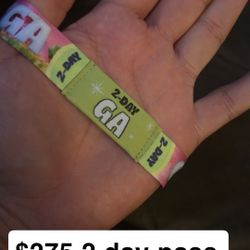 Sueños 2 Day Pass 
