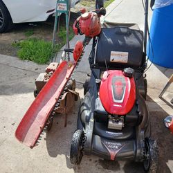 TORO HONDA Y TRIMA Y ELLE POR 3