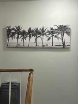 Black and White Palm Tree Canvas Wall Art